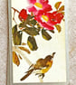 Bargain stash of 25 vintage playing cards, paper ephemera, gift for crafters - Image 4