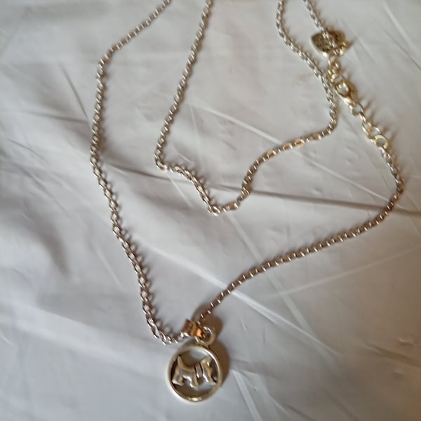 Necklace with charm