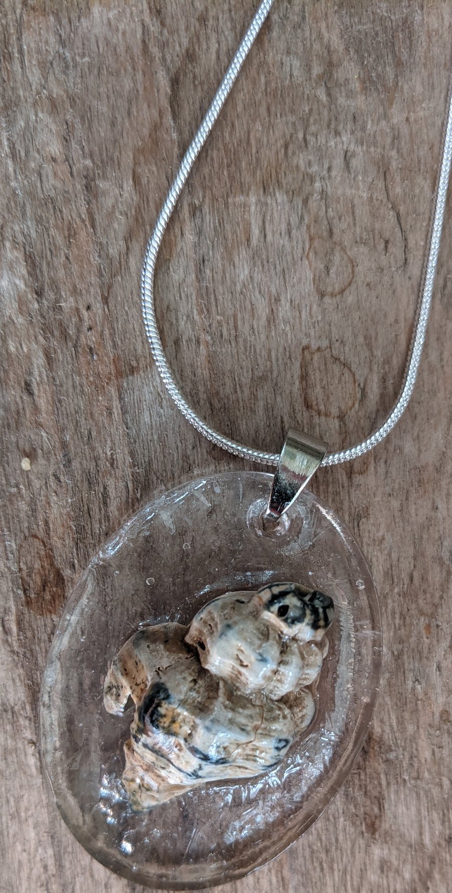 Washed Up Seashell Pendant Necklace