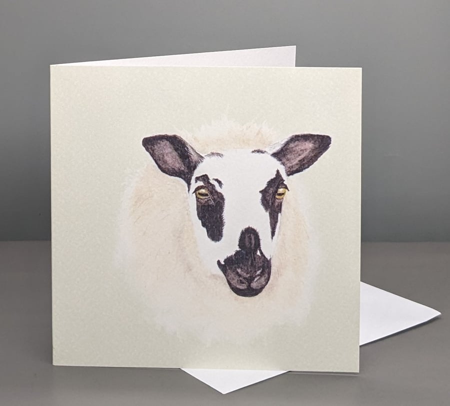 Sheep greetings card