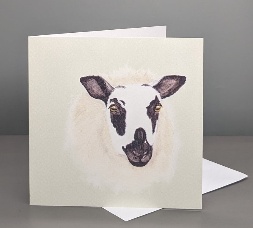 Sheep greetings card