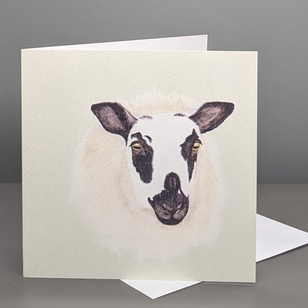 Sheep greetings card
