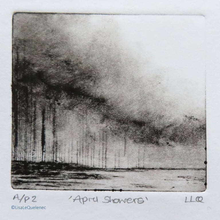 April Showers artist proof test print no.2 in edition of 10 drypoint mini prints
