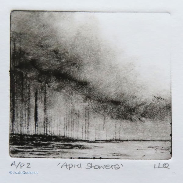April Showers artist proof test print no.2 in edition of 10 drypoint mini prints