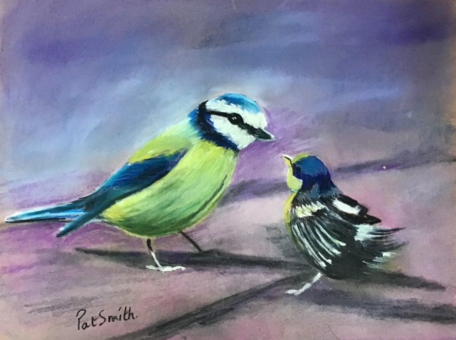 Original Pastel, Painting, Blue Tit & Chick by Pat Smith, 13” x 11”