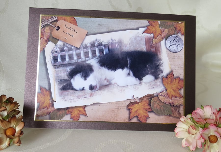 Sleeping Puppy - Border Collie Greeting Card