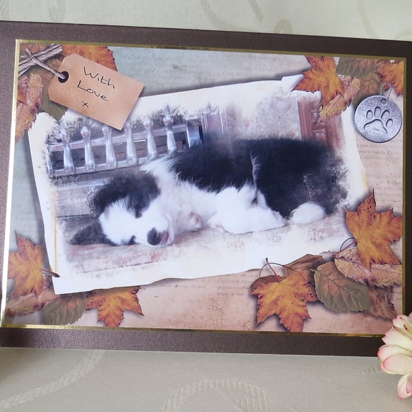 Sleeping Puppy - Border Collie Greeting Card