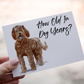 Labradoodle Dog Birthday Card, Dog Birthday Card, Personalized Dog Breed Card