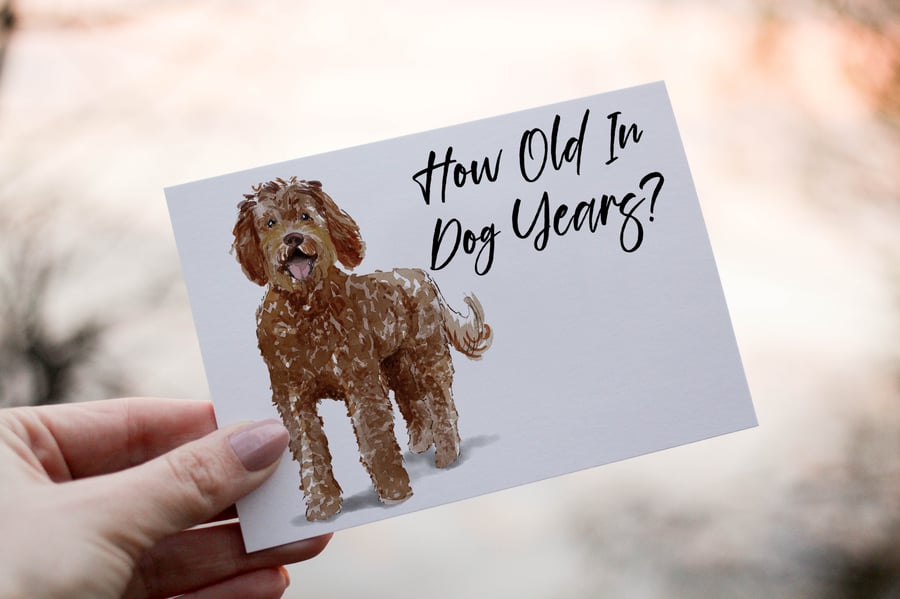 Labradoodle Dog Birthday Card, Dog Birthday Card, Personalized Dog Breed Card