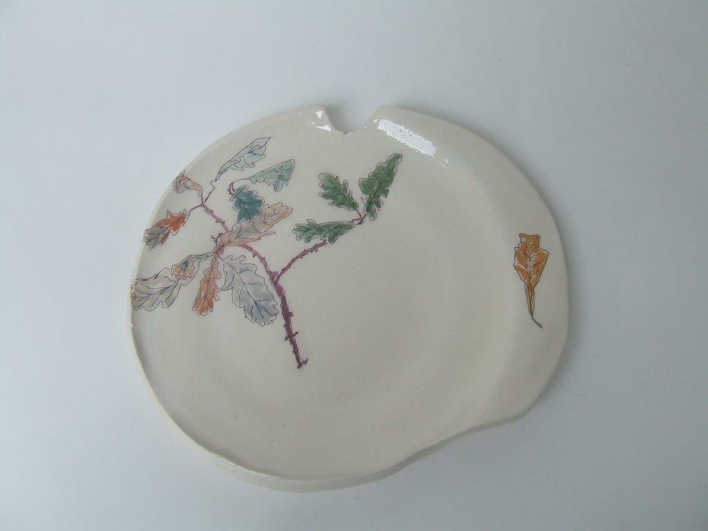 The Small Medium Plate - Found in the Forest