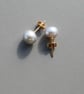 Silver Grey Pearl Button Earrings with 14k Gold Filled Stud and Back