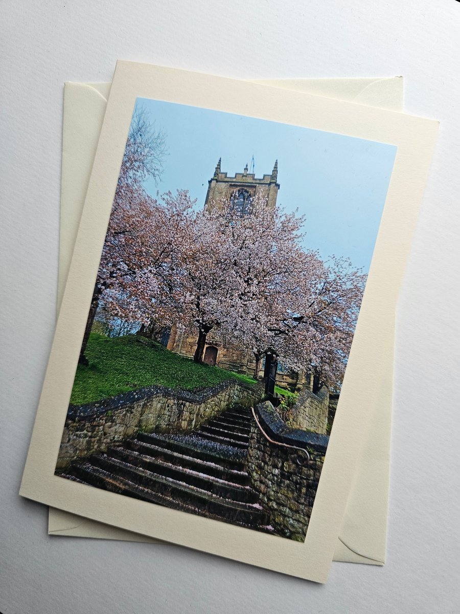 Pink Blossom in Mold, North Wales Quality Blank Photo Card Size 7" x 5"