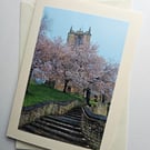 Pink Blossom in Mold, North Wales Quality Blank Photo Card Size 7" x 5"