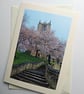 Pink Blossom in Mold, North Wales Quality BlankPhoto Card 