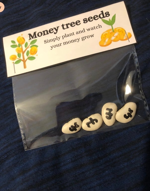 Novelty money tree seeds gift, fun and quirky