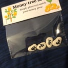 Novelty money tree seeds gift, fun and quirky
