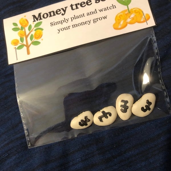 Novelty money tree seeds gift, fun and quirky