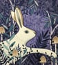 White Hare - Image 2