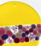 Fused glass round coaster - Image 4