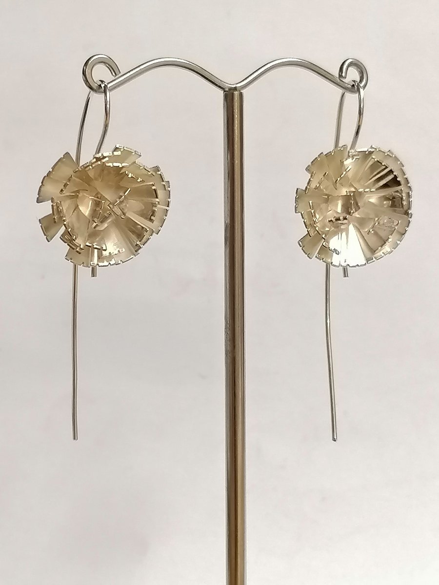 Rough Hawkbit drops, Hawkweed