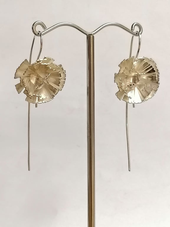 Rough Hawkbit drops, Hawkweed