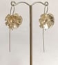 Rough Hawkbit drops, Hawkweed - Image 1