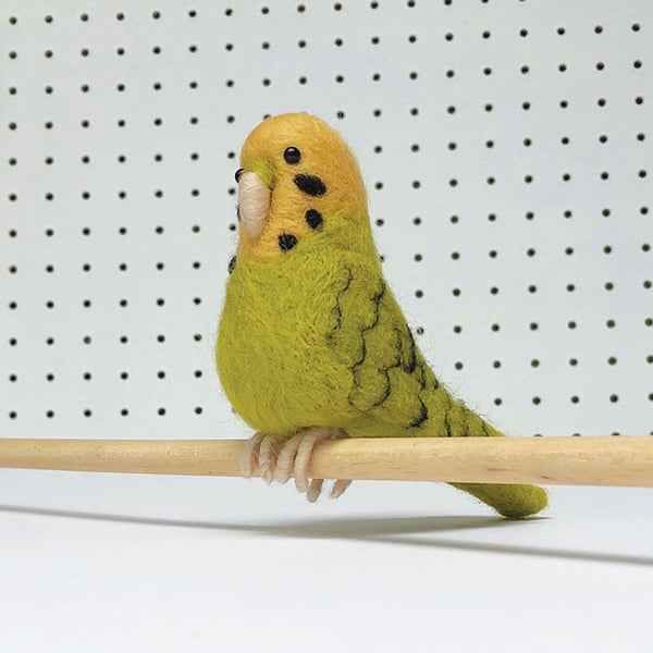 Needle felting Kit Budgie. Beginners craft kit for adults. 