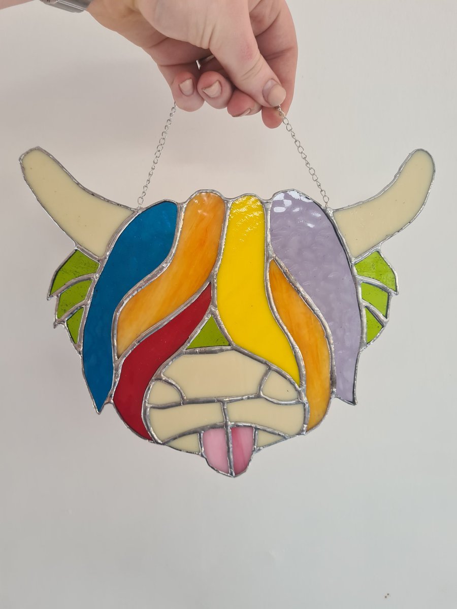 Multicoloured Highland Cow