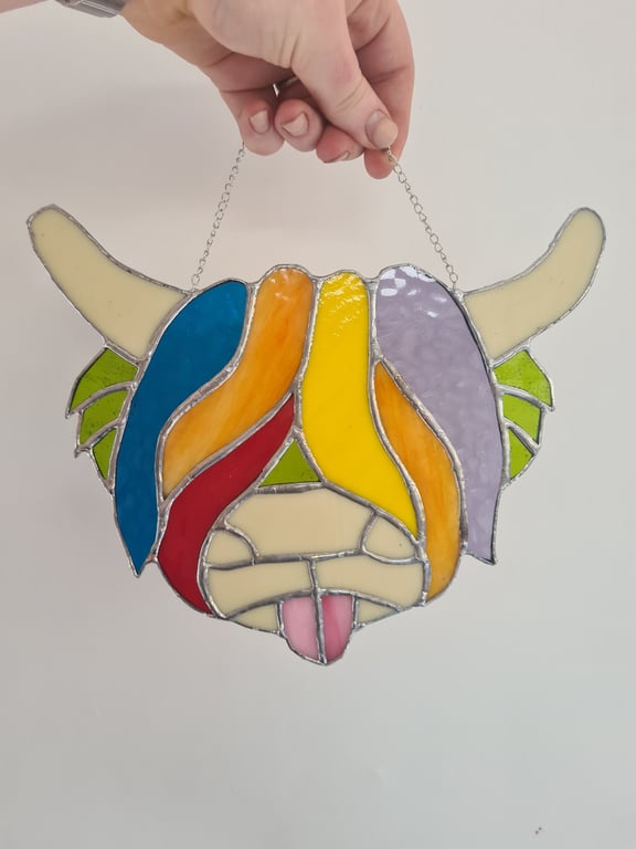 Multicoloured Highland Cow