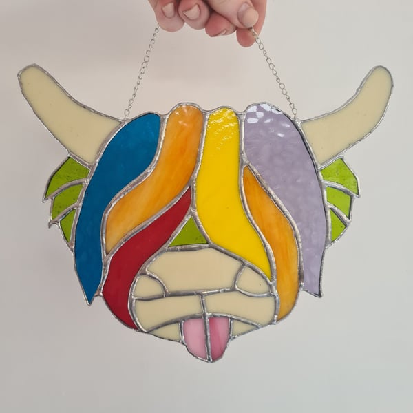 Multicoloured Highland Cow