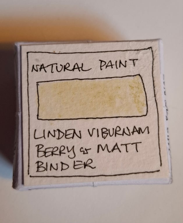 Pot of Natural Watercolour Paint. Linden Viburnum Berry. 