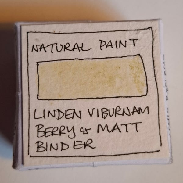 Pot of Natural Watercolour Paint. Linden Viburnum Berry. 