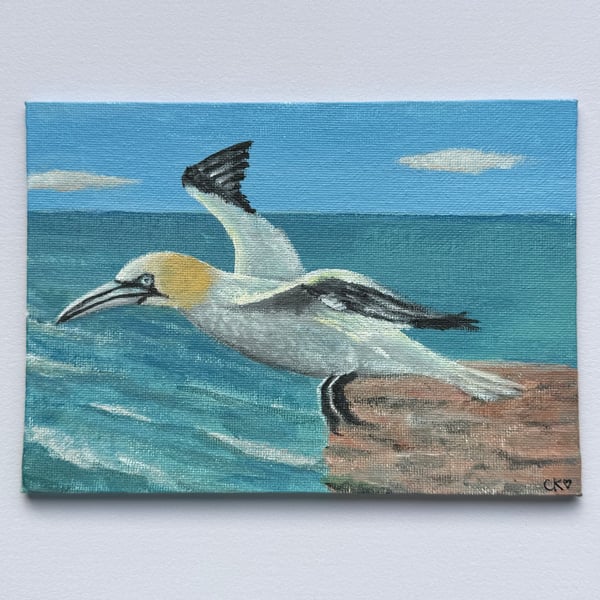 Gannet Painting