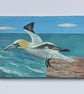 Gannet Painting