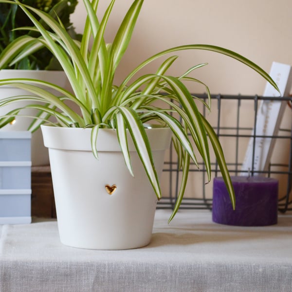 (Small Size) Ceramic Planter Pot embossed with Gold Heart.