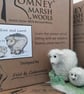 Needle felted Ewe and Lamb kit  - Image 1
