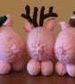 Holly Big Pig - Image 4