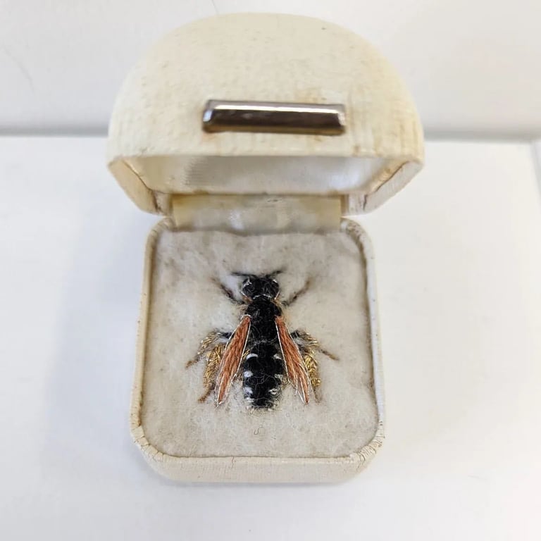 Bee 225, Halictus maculatus, the Female Square-headed Furrow Bee