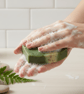 Woodland Forest Cold Process Soap — Natural Handmade Soap - Image 3