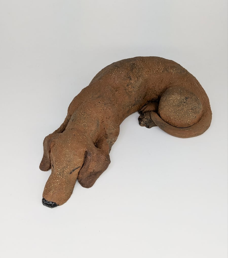 Large Sleeping Dachshund