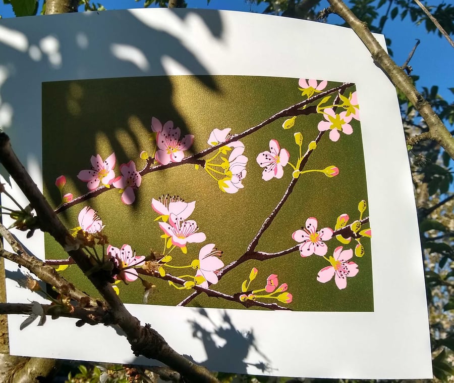 Apple Blossom Green, original hand-pulled screen print
