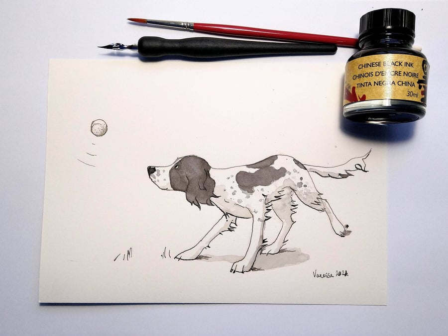 Original and Signed pen and ink drawing of a black and white Springer Spaniel