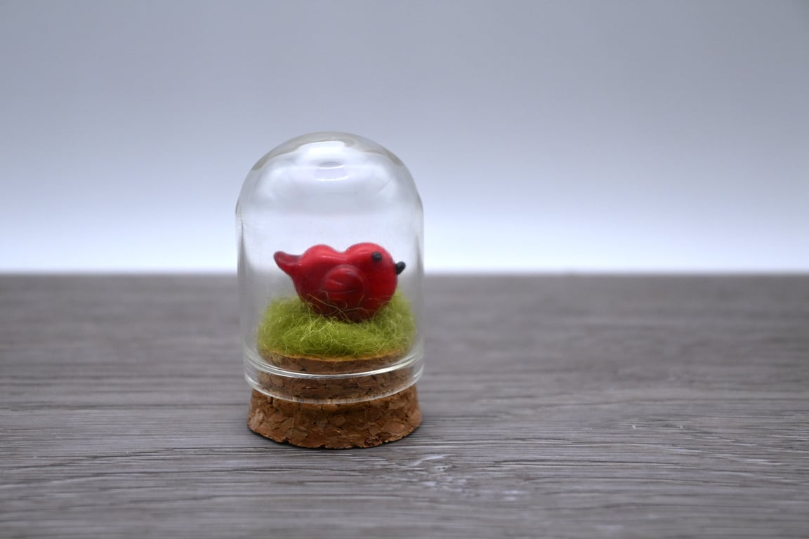 small glass bird cloche keepsake gift
