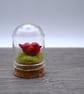 small glass bird cloche keepsake gift