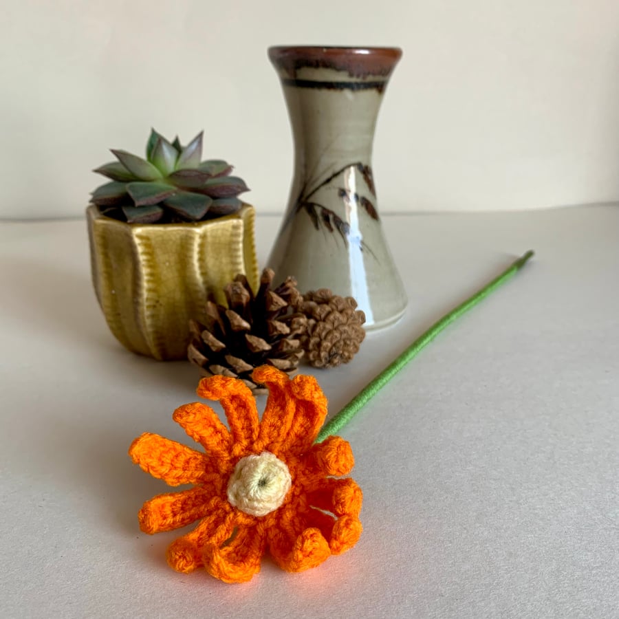 Orange daisy, Crochet flowers, celebrate success. 
