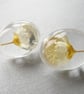 Real Daisy Earrings in Resin - Image 2