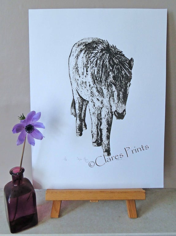 Horse Pony Art Print Limited Edition Hand-Pulled Collagraph