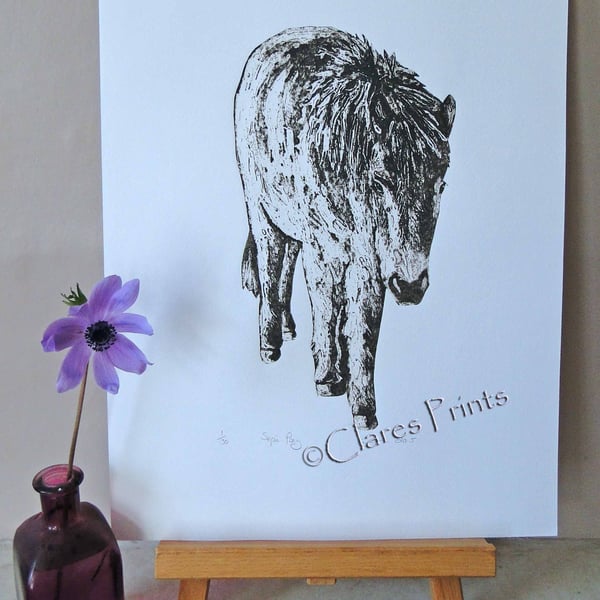 Horse Pony Art Print Limited Edition Hand-Pulled Collagraph