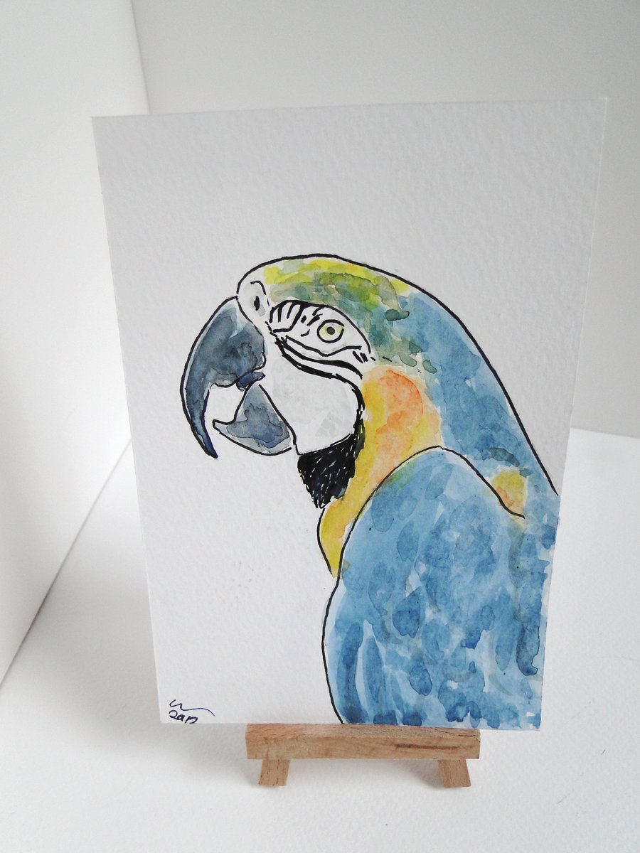 OSWOA Blue & Gold Macaw Original Watercolour & Ink Painting 4x6 OOAK Parrot