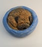 Border Terrier Yorkshire Pudding - 9